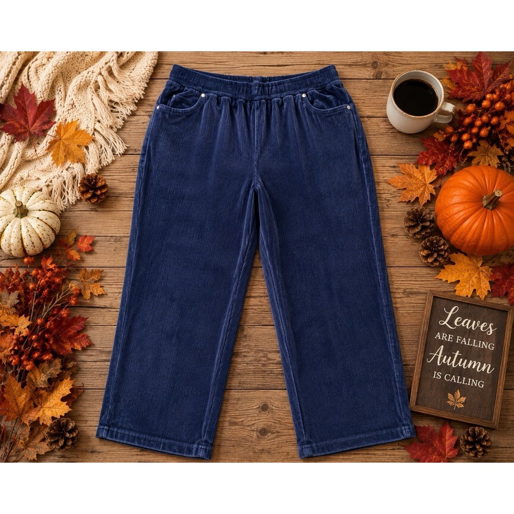 Quacker Factory 3X Navy Velour Pull On Pants Stretch Straight Leg Rhinestone